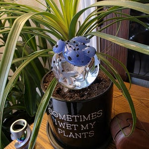Nance added a photo of their purchase