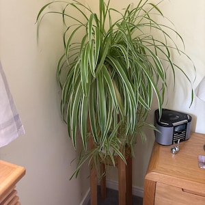 Amanda added a photo of their purchase