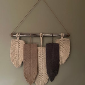 Paula added a photo of their purchase