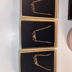 Leichnig added a photo of their purchase
