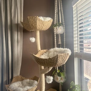 Lindsey added a photo of their purchase