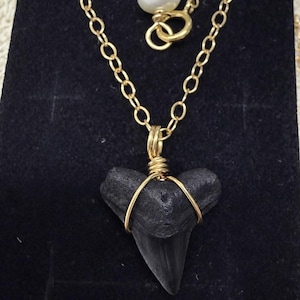 Vicky added a photo of their purchase