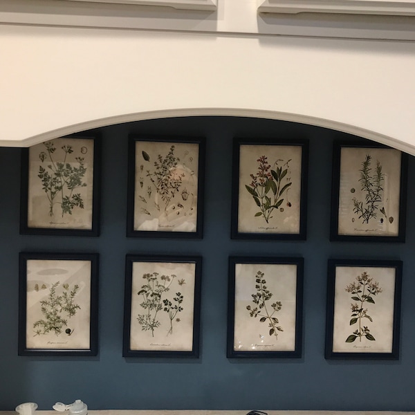 Kitchen Herbs Print Set of 9, Culinary Herb Poster, Vintage Botanical ...