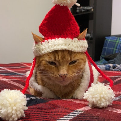 Santa Cat Hat Crochet Pattern Fun and Festive Christmas - Etsy