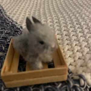 Nancy added a photo of their purchase