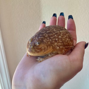 Alyssa added a photo of their purchase