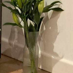 Jacqueline added a photo of their purchase