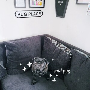 Frosted ha añadido una foto de su compra