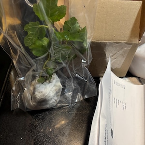 B added a photo of their purchase