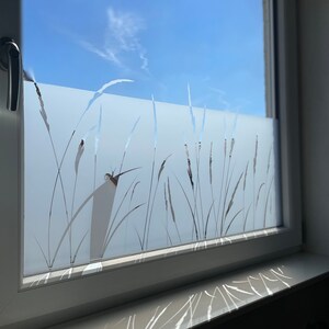 Milchglasfolie Gräser Schnecke Fensterscheibe Schilf Fensterfolie Glasdekor  GrasSichtschutz Folie Sandstrahleffekt - .de