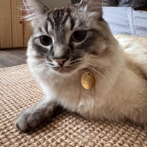 Russel hat ein Foto des gekauften Artikels hinzugefügt