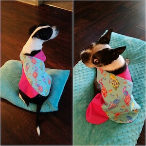 cassandra added a photo of their purchase