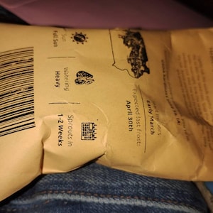 Justin added a photo of their purchase