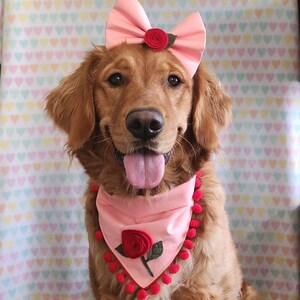 catdoglover dodał(a) zdjęcie swoich zakupów