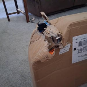 melody added a photo of their purchase