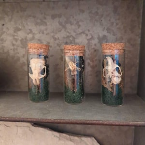 Etsy-Käufer:in hat ein Foto des gekauften Artikels hinzugefügt