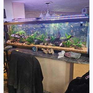 Angelo added a photo of their purchase