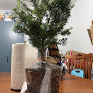 Judith added a photo of their purchase