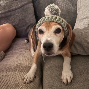 Meghan ha añadido una foto de su compra