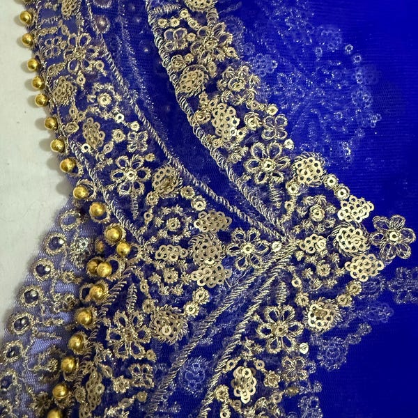 Light Beige Organza Dupatta with Zari and Sequin Embroidered Border main image 1