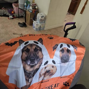 Eliza added a photo of their purchase
