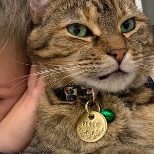 Daina さんが購入した商品の写真を追加しました