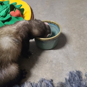 Comprador de Etsy ha añadido una foto de su compra