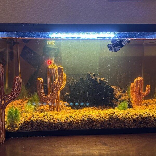 Abstract Stone Arch Aquarium Decoration - Etsy - Goldfish And Stone Aquarium Decoration