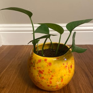 Nayeli added a photo of their purchase
