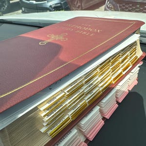 Dasha added a photo of their purchase