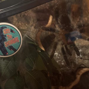 Jillian heeft een foto van de aankoop toegevoegd