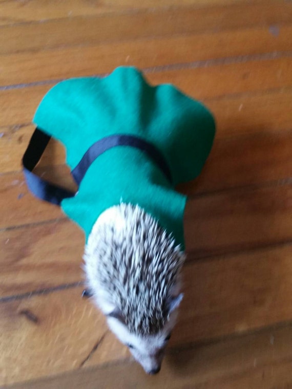 Customer photo of a pet with the Green dress small pets costume Hedgehog Vogue