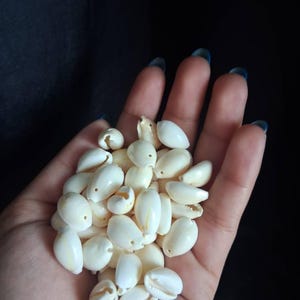 Rashmi さんが購入した商品の写真を追加しました