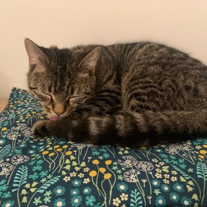 Pippa hat ein Foto des gekauften Artikels hinzugefügt