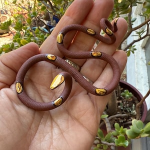 Laura added a photo of their purchase