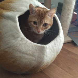 graziella added a photo of their purchase