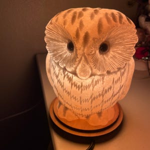 Ihor added a photo of their purchase