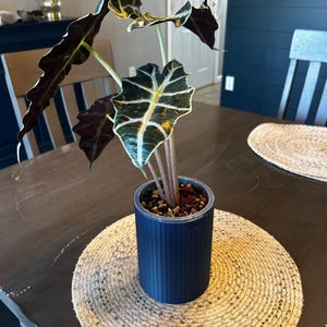 Wallace added a photo of their purchase