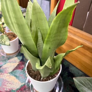 Pam added a photo of their purchase