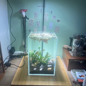 Jenifer added a photo of their purchase
