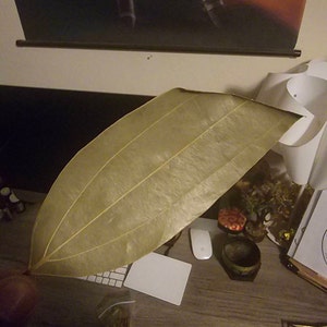Joseph added a photo of their purchase