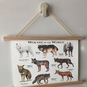 Wolves of the World ポスタープリント - アーティストのサイン入り