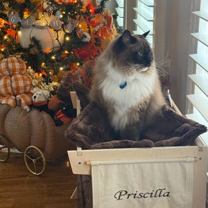 Cindy added a photo of their purchase