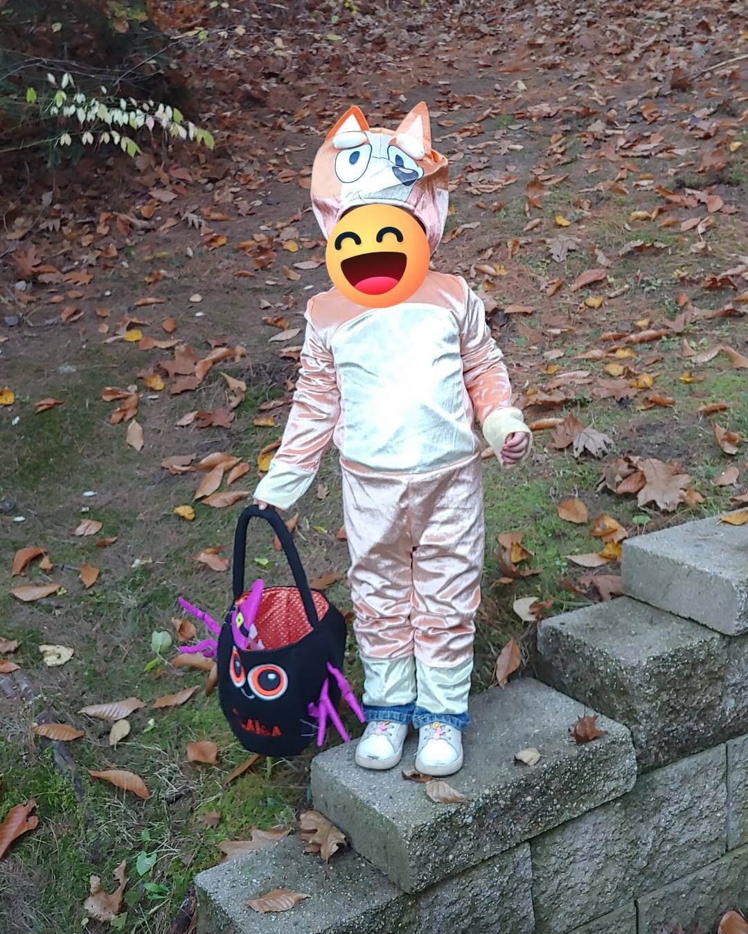 Personalized Reflective Halloween Treat Bag - Trick-or-Treat Bag - For Kids - For Girls - For Boys - 8" Hx6 D - Available In 5 Designs