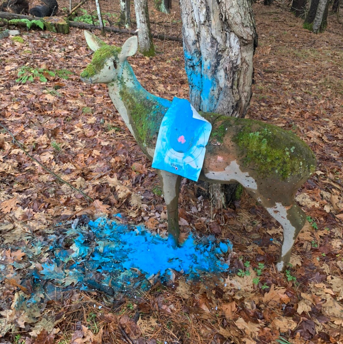 Gender Reveal Shooting Target Shooting Target Balls in Pink or Blue