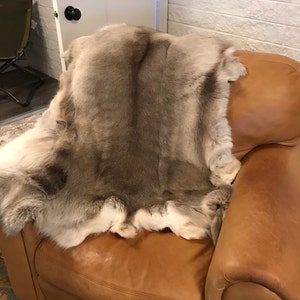 Scott added a photo of their purchase