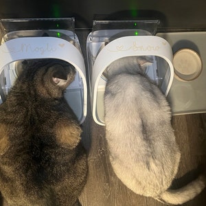 Lisa added a photo of their purchase