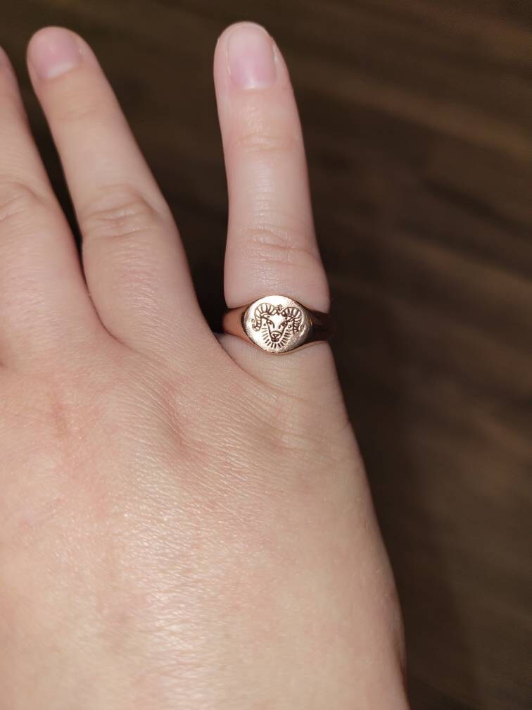 Custom Zodiac Signet Ring by Caitlyn Minimalist • Personalized Chunky Statement Ring • Celestial Jewelry • Best Friend Gift • RM77