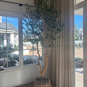 Robin added a photo of their purchase