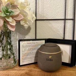 Pawnie added a photo of their purchase